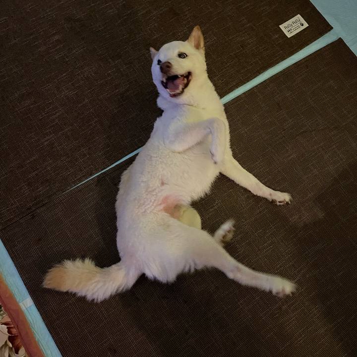 7c6b80e8 7100 494b 99ae e2f70c77ff39 1666016018524