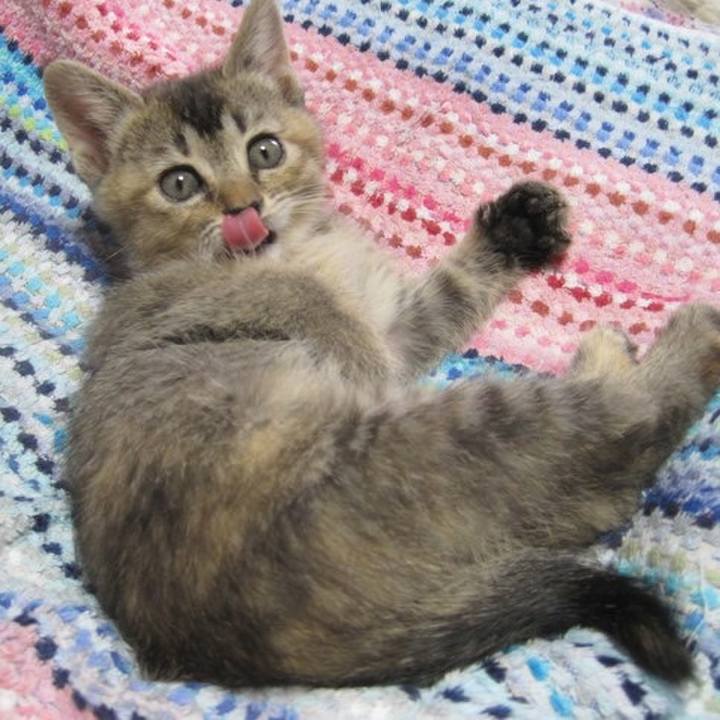 7c6b8368 bb31 41af 9807 0b2f79b8044b 1575863164601