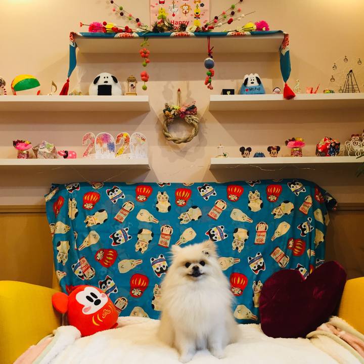 7c6b8c67 a484 48f7 8305 666c37b461eb 1577615161596