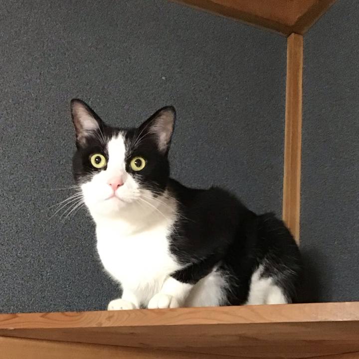 7c6bb907 684e 4dcf b20b bb47beaad9fe 1720513593943