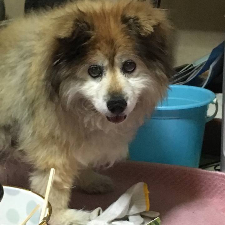 7c6bb996 9db3 4460 9055 9518265a3621 1564161244053