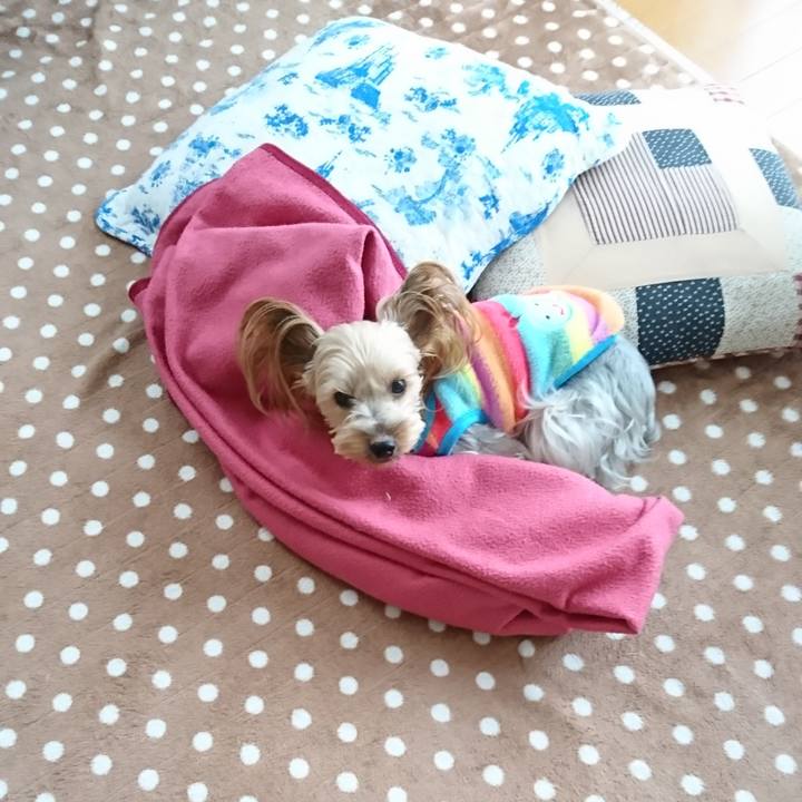 7c6bbc0b dcdf 4a7c b43c b55ff539b85c 1544396976152