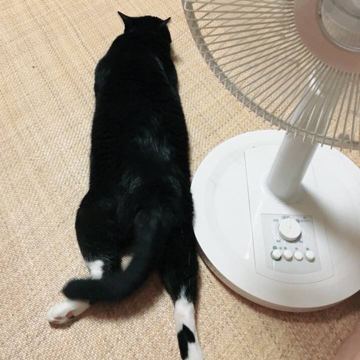 7c6bdf2d 1826 4ea7 bd89 5bbfb87f2bfb 1532522676841