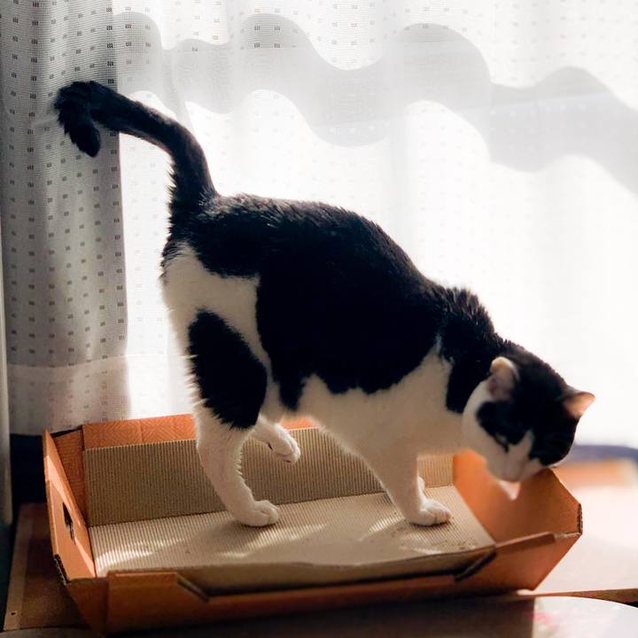 7c6c1df2 c062 4981 bd73 e4007de5d3b5 1589763592280