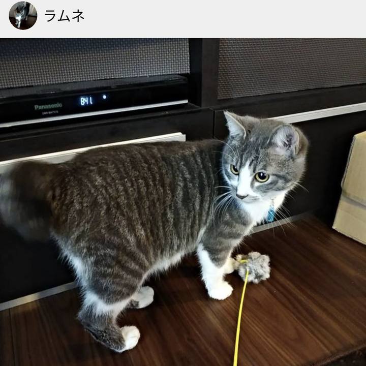 7c6c57a8 9c72 4192 9c9e 1bef74526e8a 1669693531647