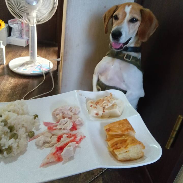 7c6c6c09 2e10 4c16 bb7d ab90e580b9c1 1720347345647