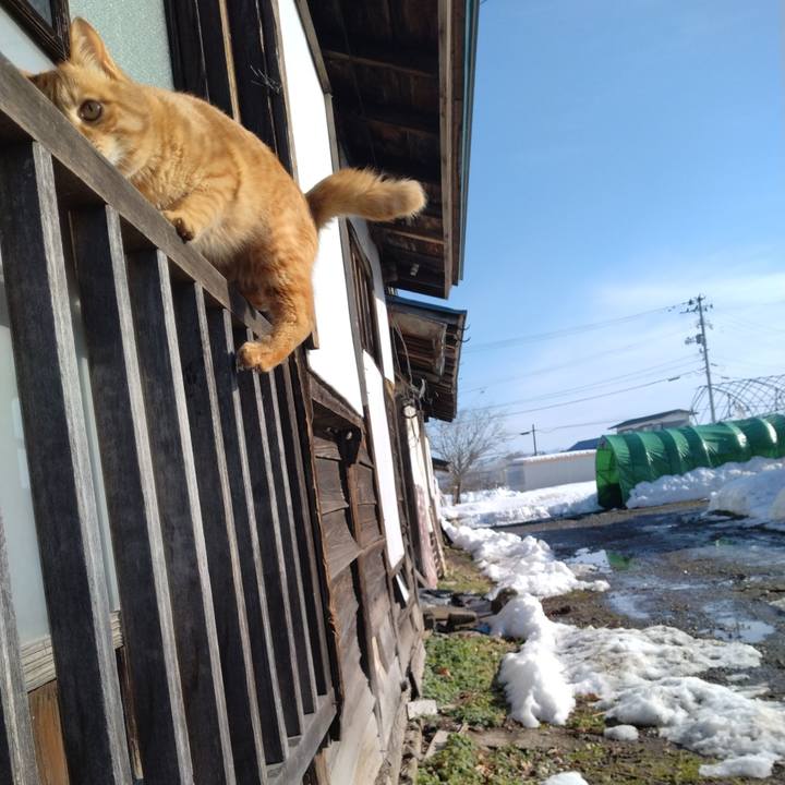 7c6c6ca5 bcf5 48ad a2bc 56b5717c85ee 1672192012953