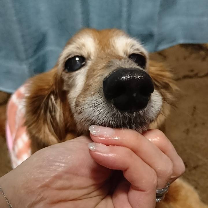 7c6caa59 0fed 4345 abff 5c2cb52fde65 1517263962115