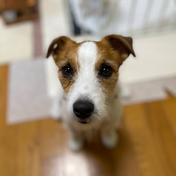 7c6cafc7 362d 4d01 a74d e129c3b9d8b7 1753739302131