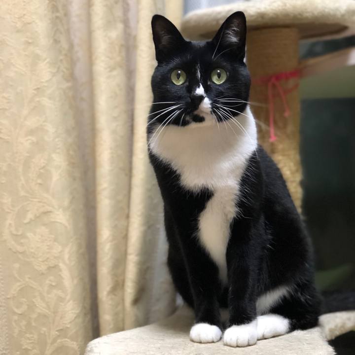 7c6cc7da 3375 44e5 9050 06964b1fc296 1574980266696