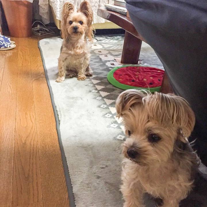 7c6ccb67 09e8 4260 aebf 455336370512 1540336239516