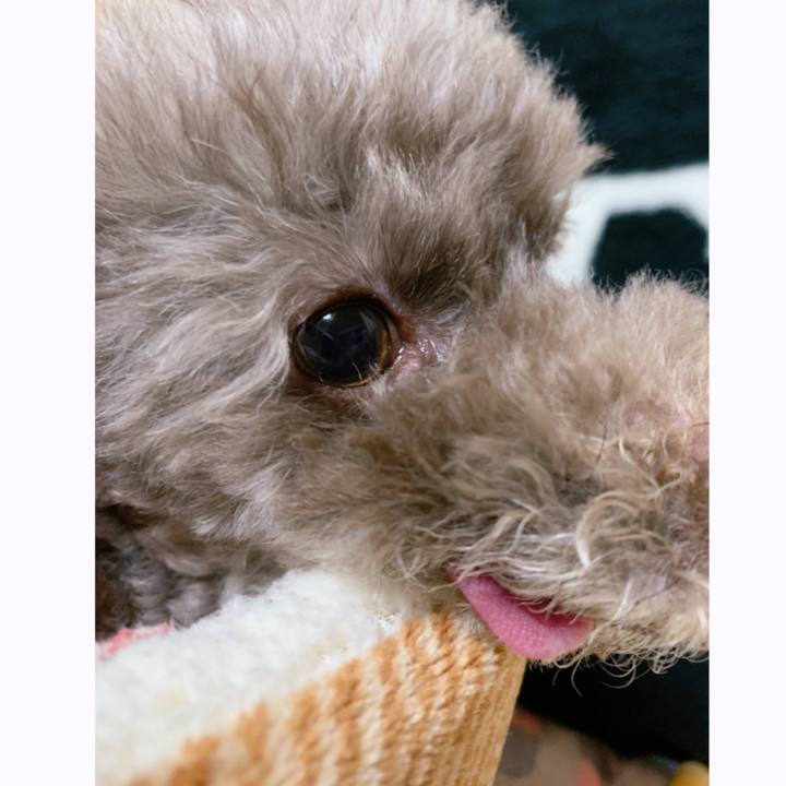 7c6cda24 c9b1 4d53 9e44 5b1d49834627 1617798702866