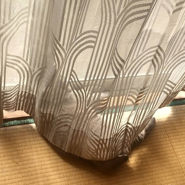 7c6ce631 8c3d 45f4 9522 6039c49d4249 1649639718234