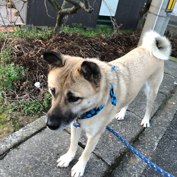 7c6cecd7 86e7 44b1 b839 bdb657b12ae6 1579174729332