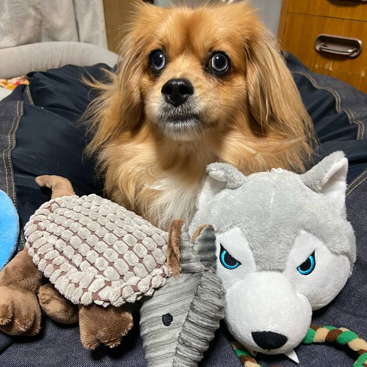 7c6d3871 2fb0 4629 83b6 67a757a996d1 1583753357092