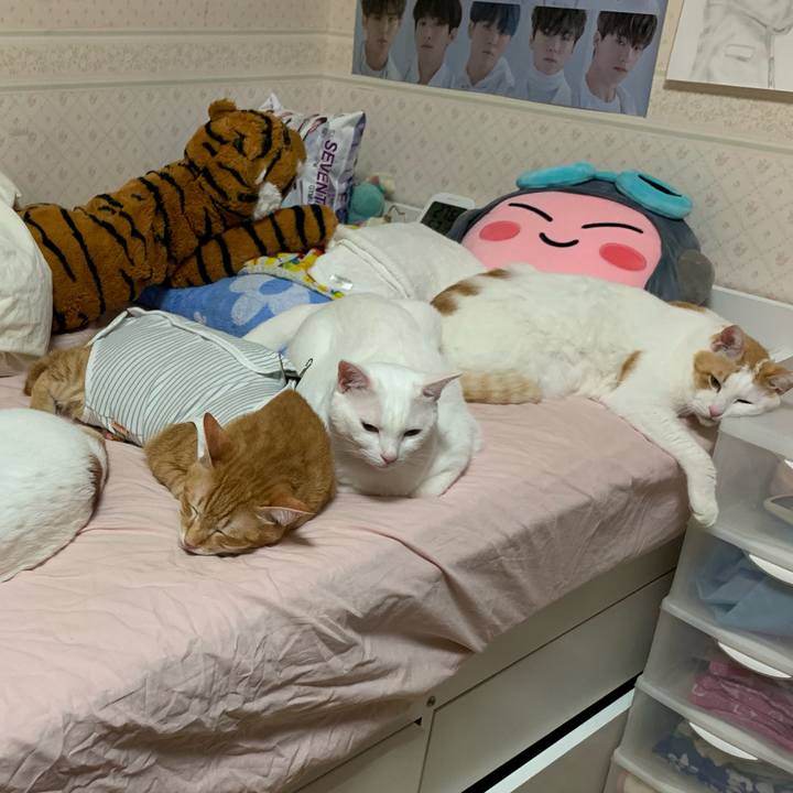 7c6d3b9e 3ffa 484e 82b3 ad8195796a12 1569769312474