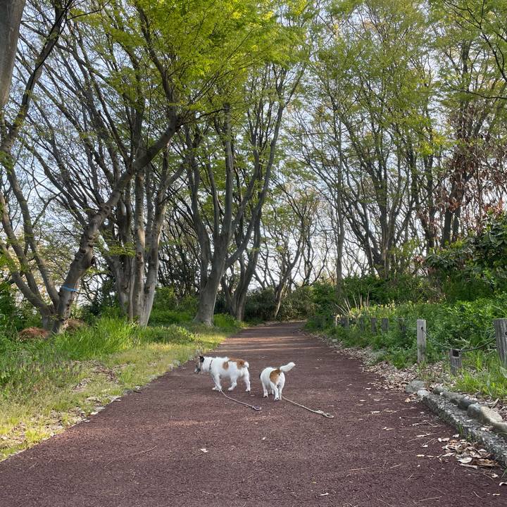 7c6d42b8 a62a 44a5 9cbc fedbdfb984fa 1713745269945