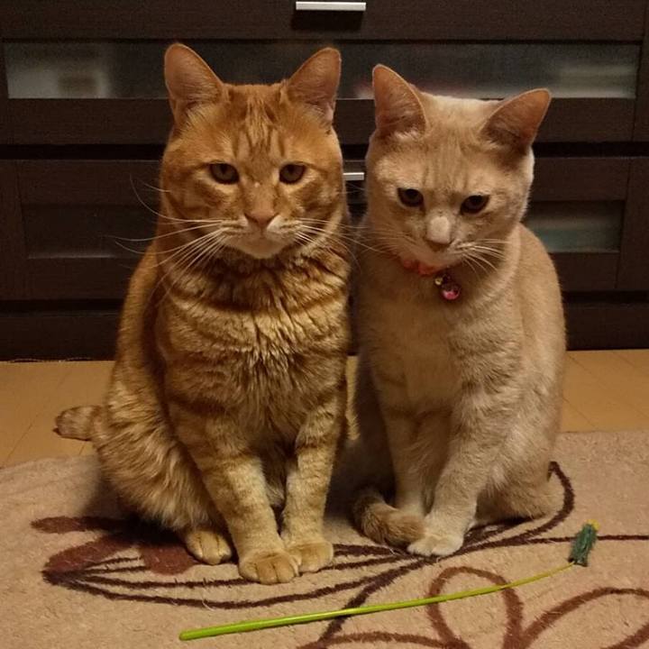 7c6d503a 66c8 43e7 ad6c 6593d5e9f0d2 1576763242897