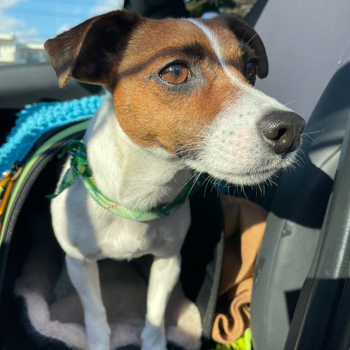 7c6d67cb 59c1 4a85 8df5 5fae6019949d 1645689232964