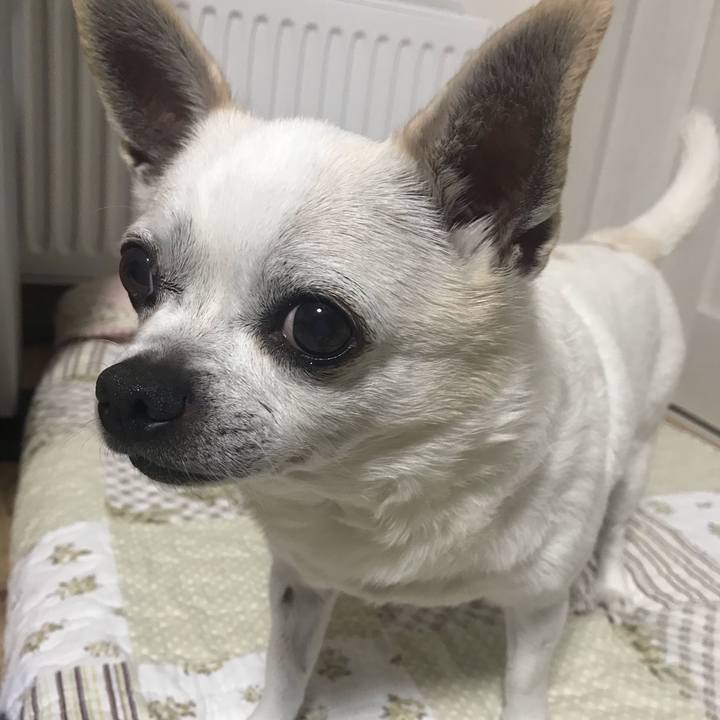 7c6d9ee8 3c95 45f5 986a 8a23944a0026 1631940036957