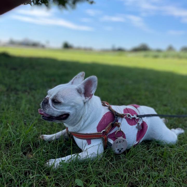 7c6da506 6c93 4a60 b336 ab779e364621 1728701123995