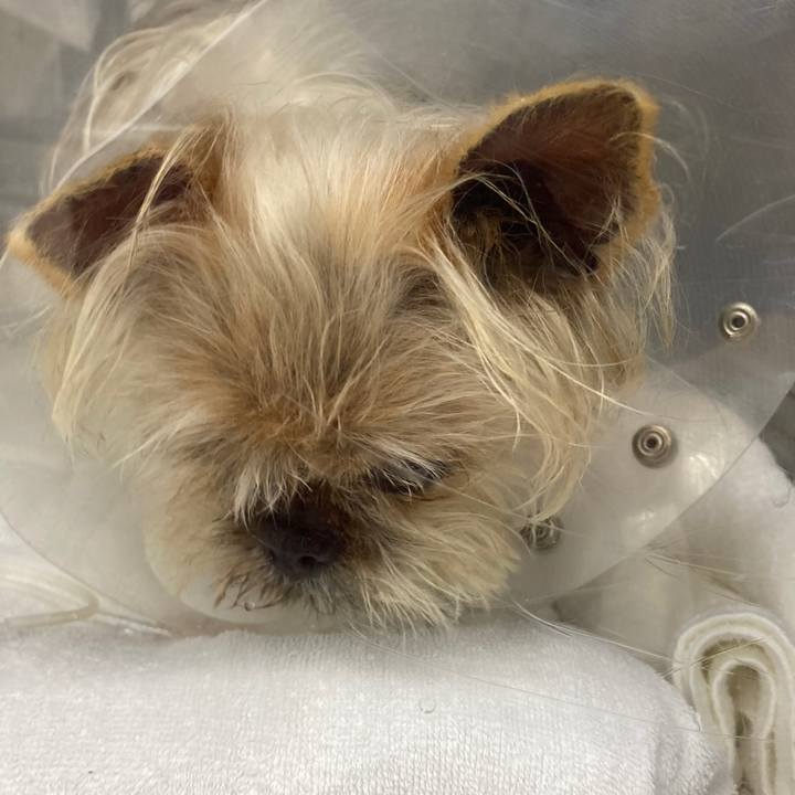 7c6dab89 6e05 4b00 8d39 9958ad360684 1622593567741