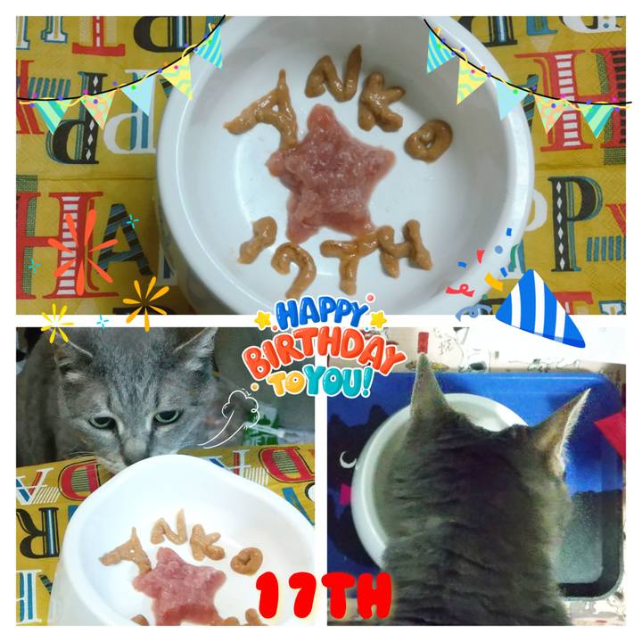 7c6dd82f f969 4be3 9663 f0b3d893733b 1657205047799