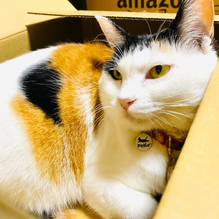 7c6ddb74 03cd 4719 b355 6aa3735fe388 1706733778836