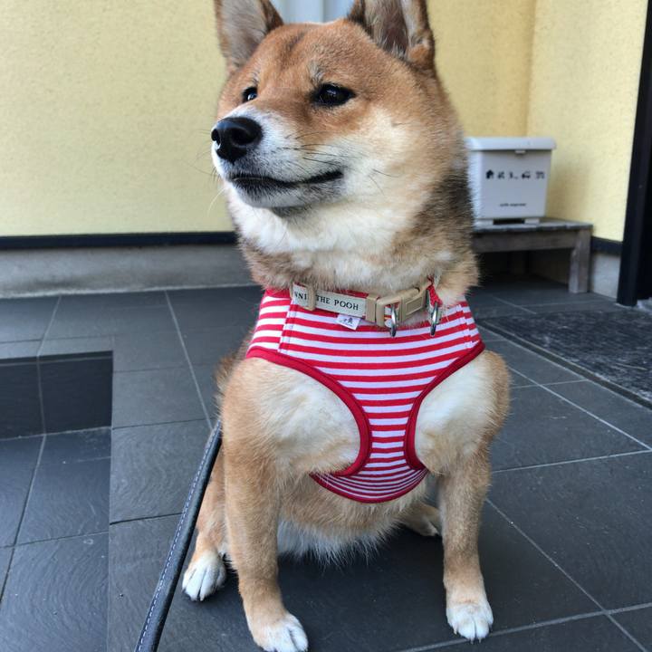 7c6e034d 02ba 4d37 891c ee07615cb9c4 1553001351703