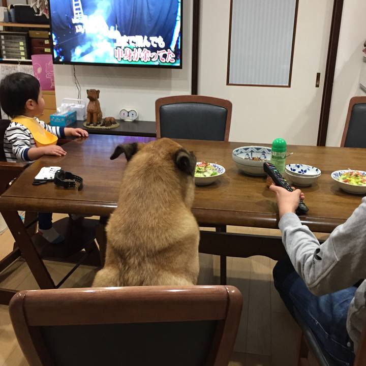 7c6e7da2 45ab 4214 8d7f d1bb22b93223 1517572926671