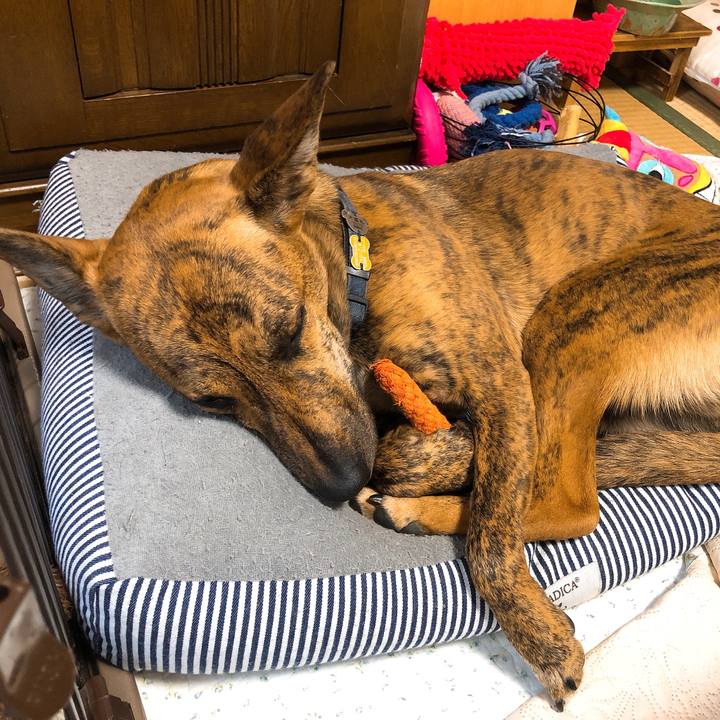 7c6ed4d0 38f1 4b27 aa9b c9f9a8ec61ae 1587101443584