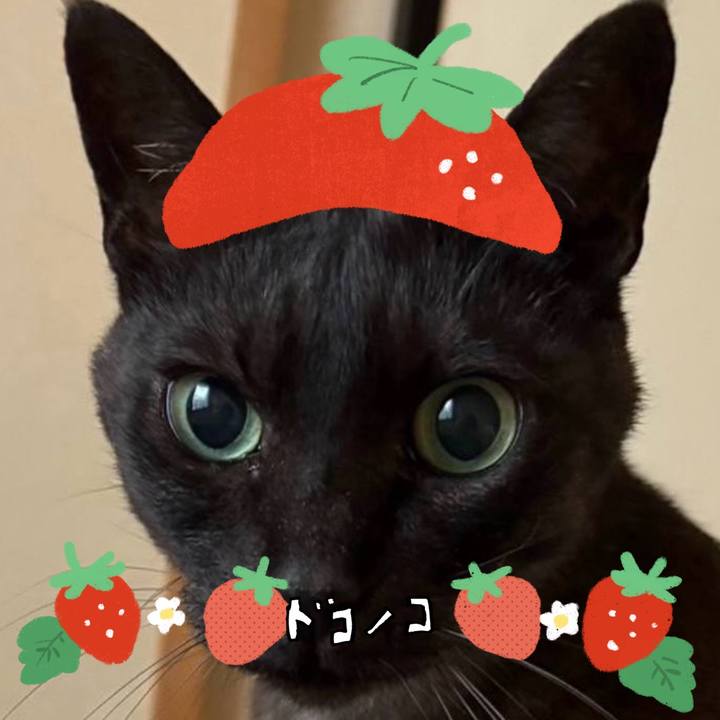 7c6eebc8 25ff 42e6 b95b 83fae7441b4a 1775260725075