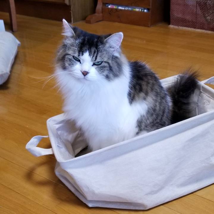 7c6eec87 2a9e 4cfb 9dac cc6c640021fa 1569355076544