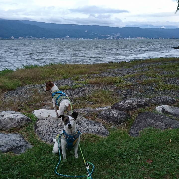 7c6eec91 c2cc 4841 bc1d e3f619126554 1569142513627