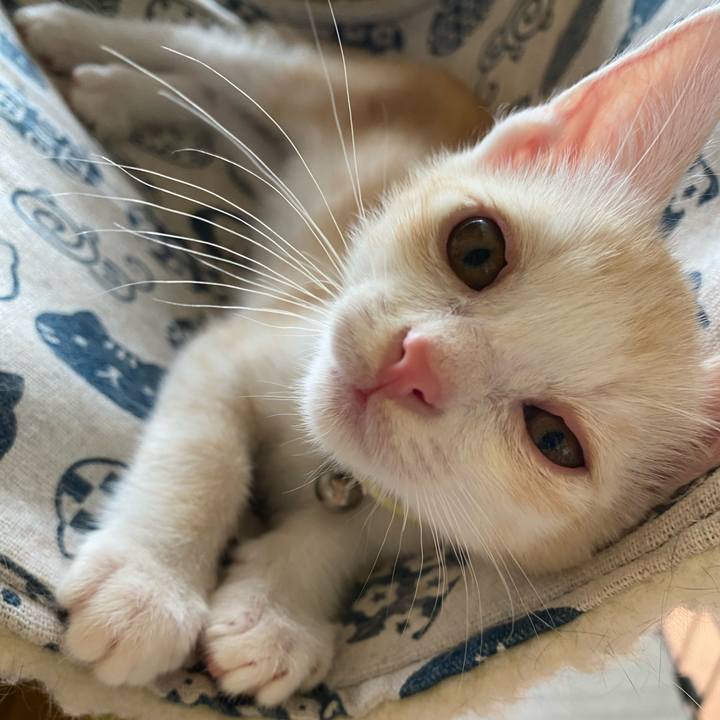 7c6ef980 2534 4302 9909 b04f569557c5 1718780721268