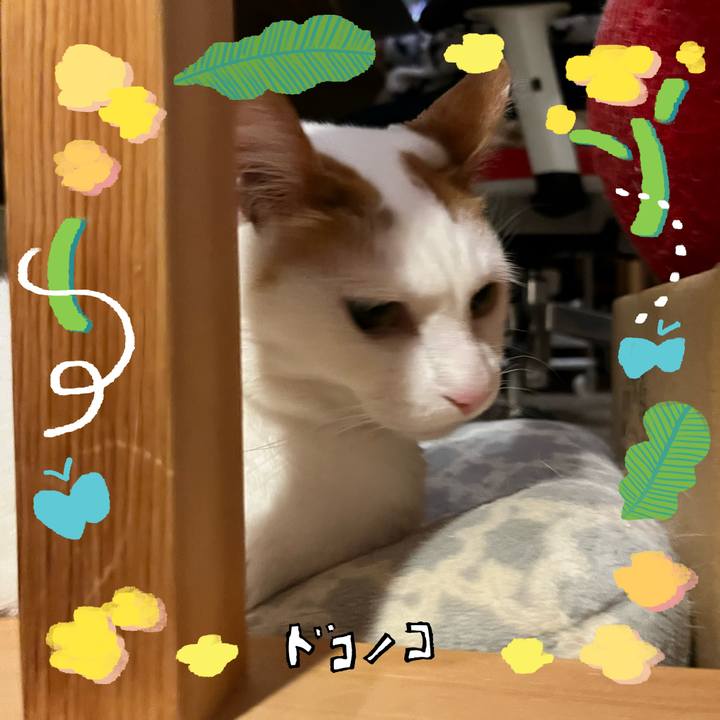 7c6f01fd 60e5 4bb1 90ea 704d3fb46416 1744546648806