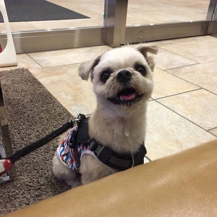 7c6f0bdd c406 4857 a9b0 754c6a97c498 1565235254336