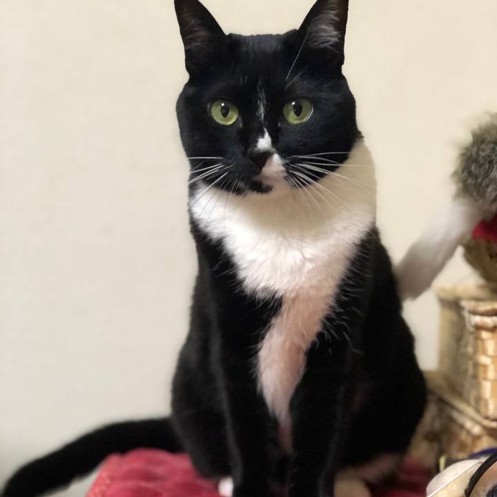 7c6fa8f0 863d 4eef ae96 67d79785818d 1584792399445