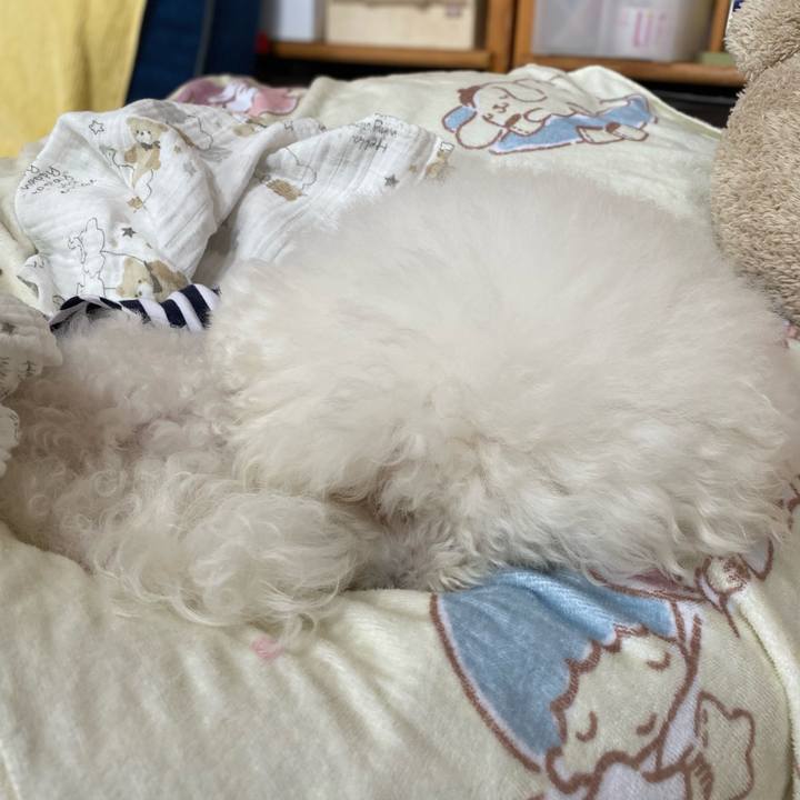 7c6fcbf6 1aff 48a6 9064 82071c1ead0a 1731032439734