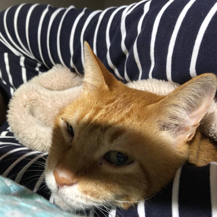 7c7006b5 8d4c 49d4 8de2 a982fa07bb67 1725141367602