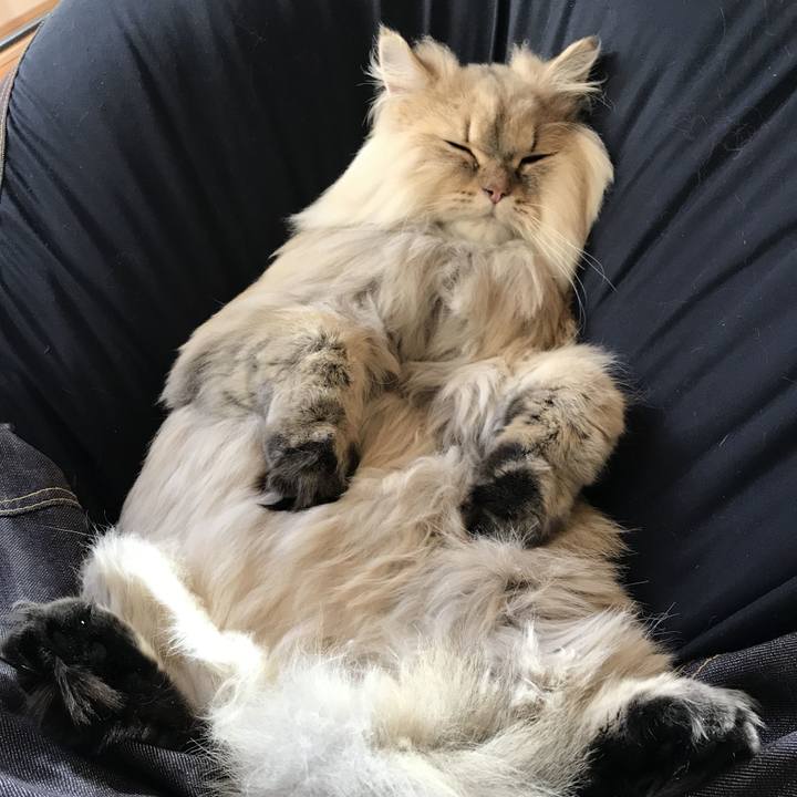 7c70706d b0d3 4279 bcfe 5d0f7ad0074e 1576459946309