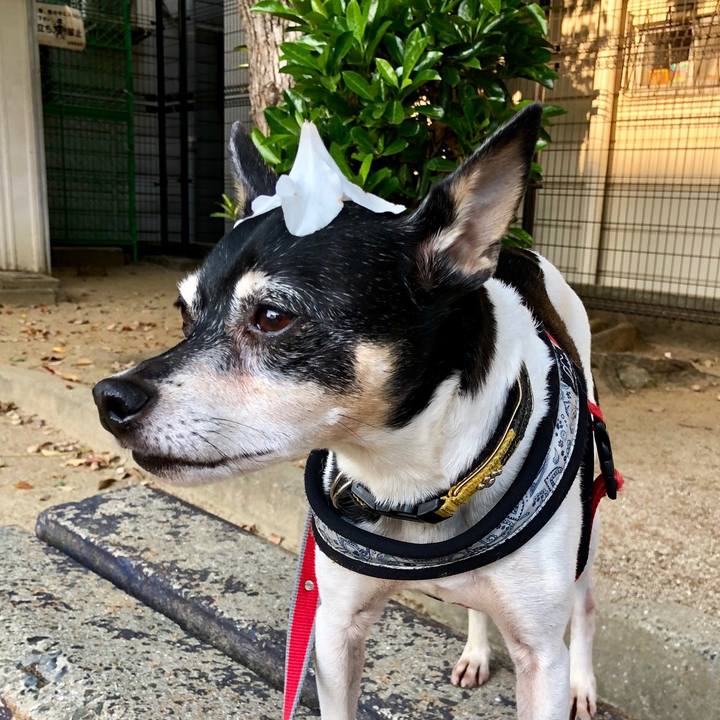 7c7081ff e62a 4ec9 b9de a919674e82d2 1557698337724