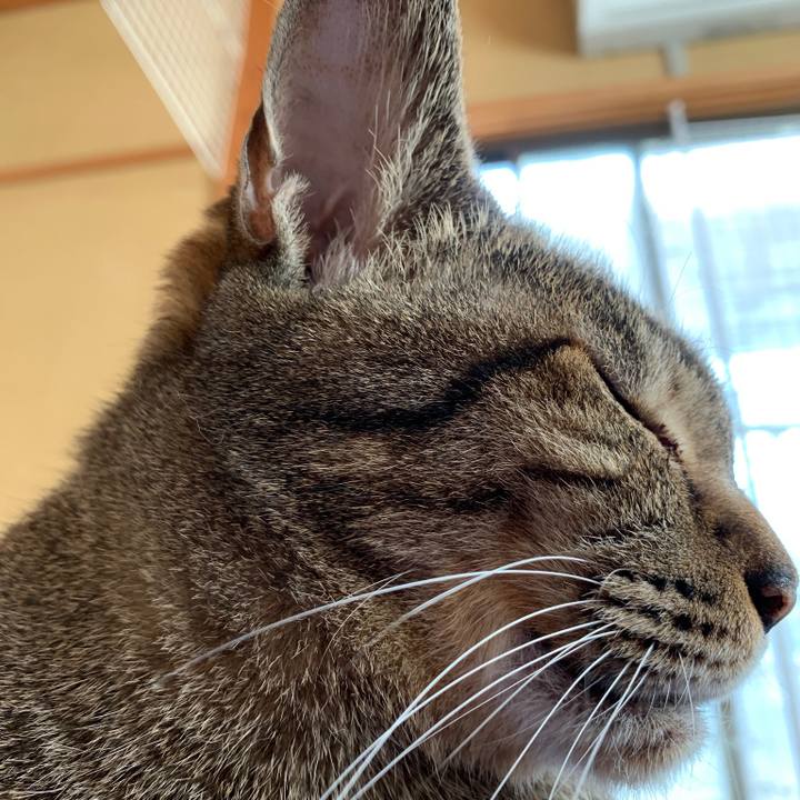 7c7083f7 0c48 4eb2 a74e b244cf3a5cda 1569028149029