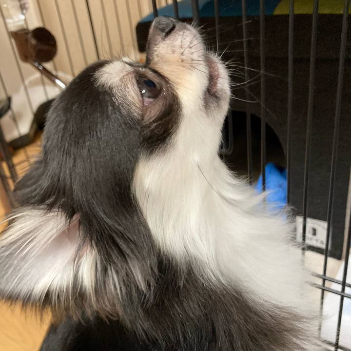 7c70d8bd 719d 463a 84cb ecf151d478b5 1622299838264