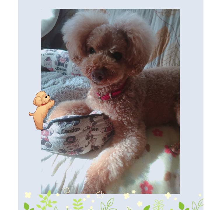 7c70e008 0e03 481b ab23 4f4a4fe24b60 1526336698651