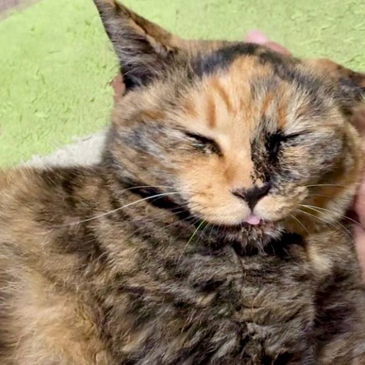 7c710b91 ee48 488d bc6b 3ca556c31755 1754681924352