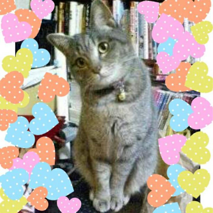 7c71487b f4da 4d8d b1fd c24eedbddd2c 1517405629506