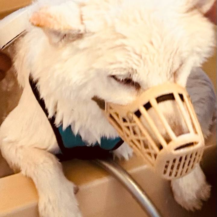 7c715d21 5d67 42a1 8dba 4540760ad9df 1759539028374