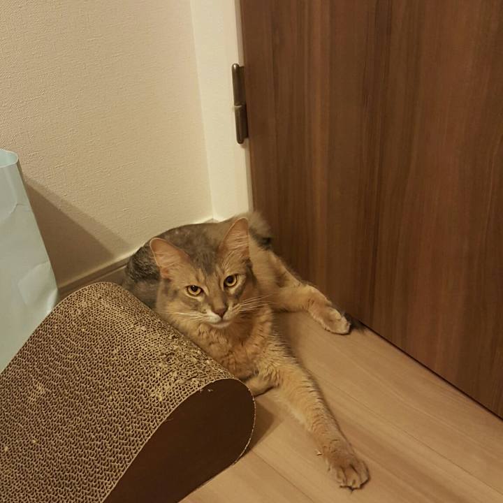 7c716b53 23d1 4b8d b9e3 9a38cdb62022 1532787536394