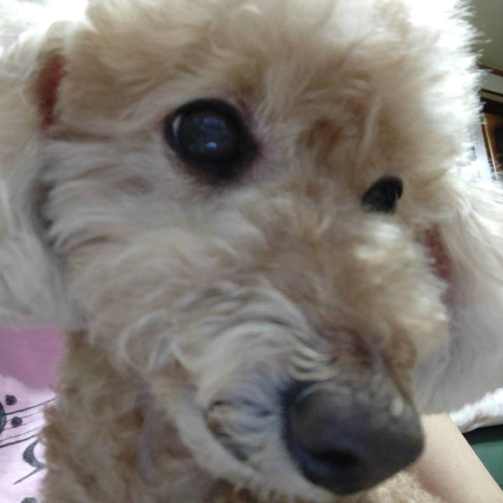 7c717086 3570 4ebd 80fe 8504abdbe736 1632228477814